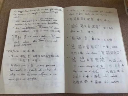 为了学琴记的笔记。受访者供图