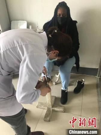 　　医生为谭丽同学消炎包扎，处理伤口。沈阳化工大学供图