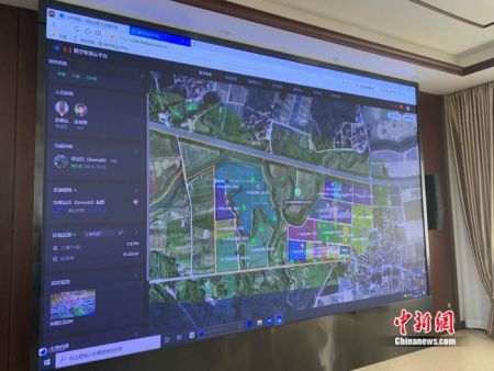 南京农高区数字农业云平台。 中新网 彭婧如 摄
