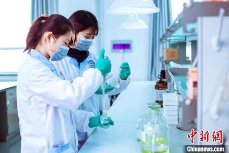 资料图：兰州市食品药品检验所工作人员进行检测。　史静静 摄