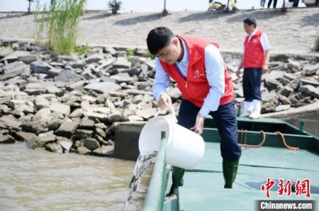 陈伟以一己之力反哺长江，守护“母亲河”。高港区供图