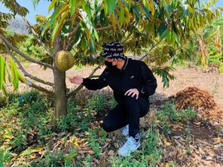 图为陈王琳为公司考察挑选榴莲。陈王琳供图。