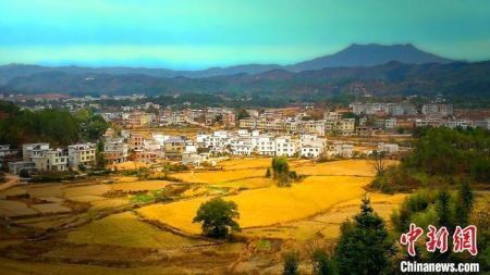 　资料图：冬日暖阳下的田丰村。　陈忠 摄