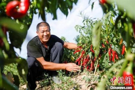 资料图。李红卫 摄 资料图。李红卫 摄