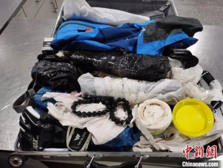 　　成都海关关员查获的美“黑”象牙手串。成都海关供图