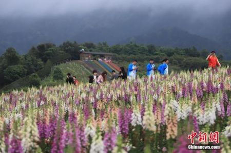 　　资料图 马佳欣 摄