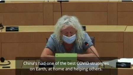 　来源：欧洲议会议员米克·华莱士社交媒体截图。