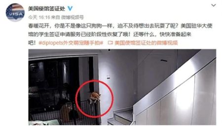 　　图为美国驻华使馆签证处发布的引发争议的微博。图片来源：新浪微博截图