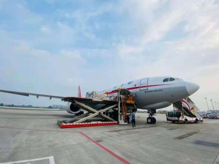 图片来源:中国驻印度大使孙卫东社交网站 图片来源:中国驻印度大使孙卫东社交网站